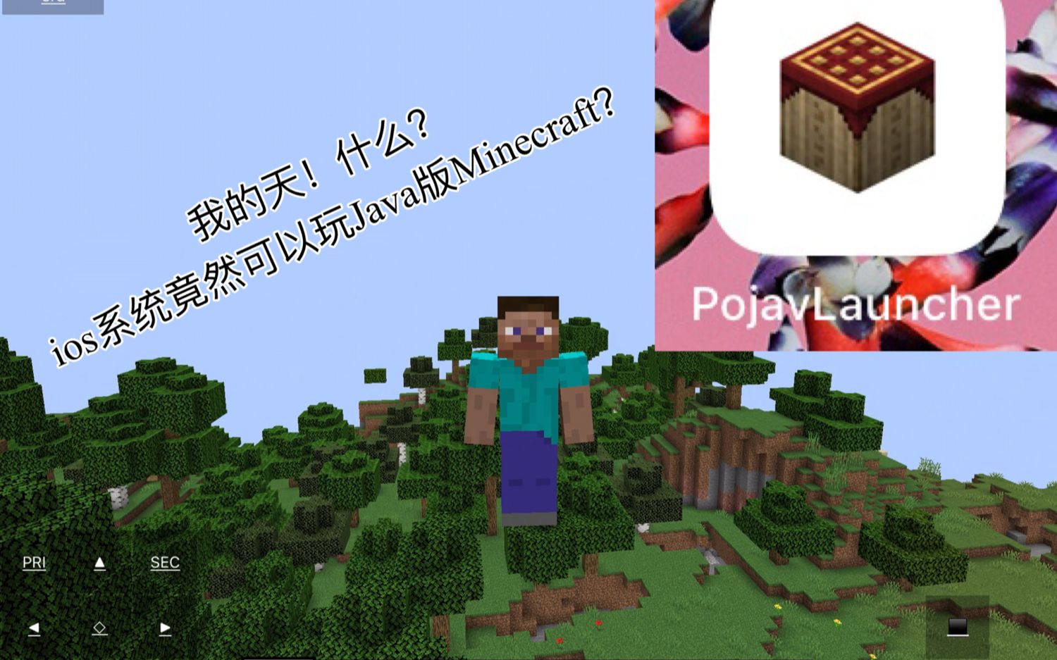 IOS设备安装PojavLauncher并开启JIT权限 —— 牛蛙助手