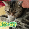 西安连阴雨下的兄妹俩睡都睡不着了