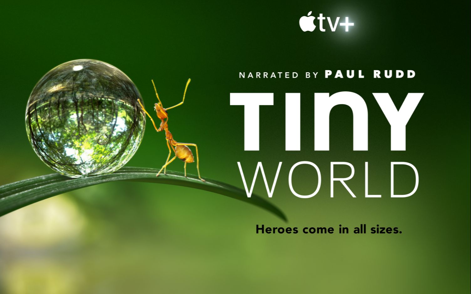 纪录片《小小世界》 高清英语中字 第一季05