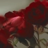 【空镜素材】玫瑰