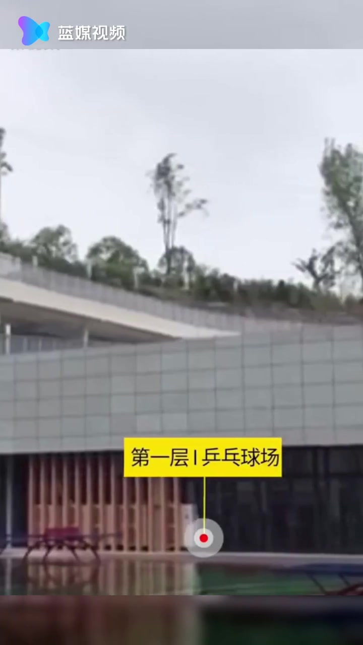 重庆现3D立体体育场 网友：跑圈不能抄近道了