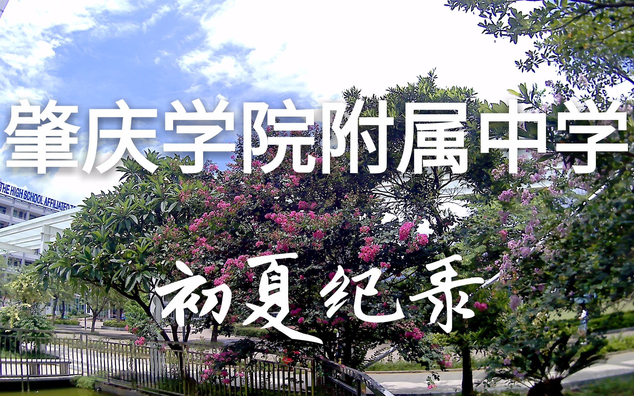 肇庆学院附属中学-----初夏