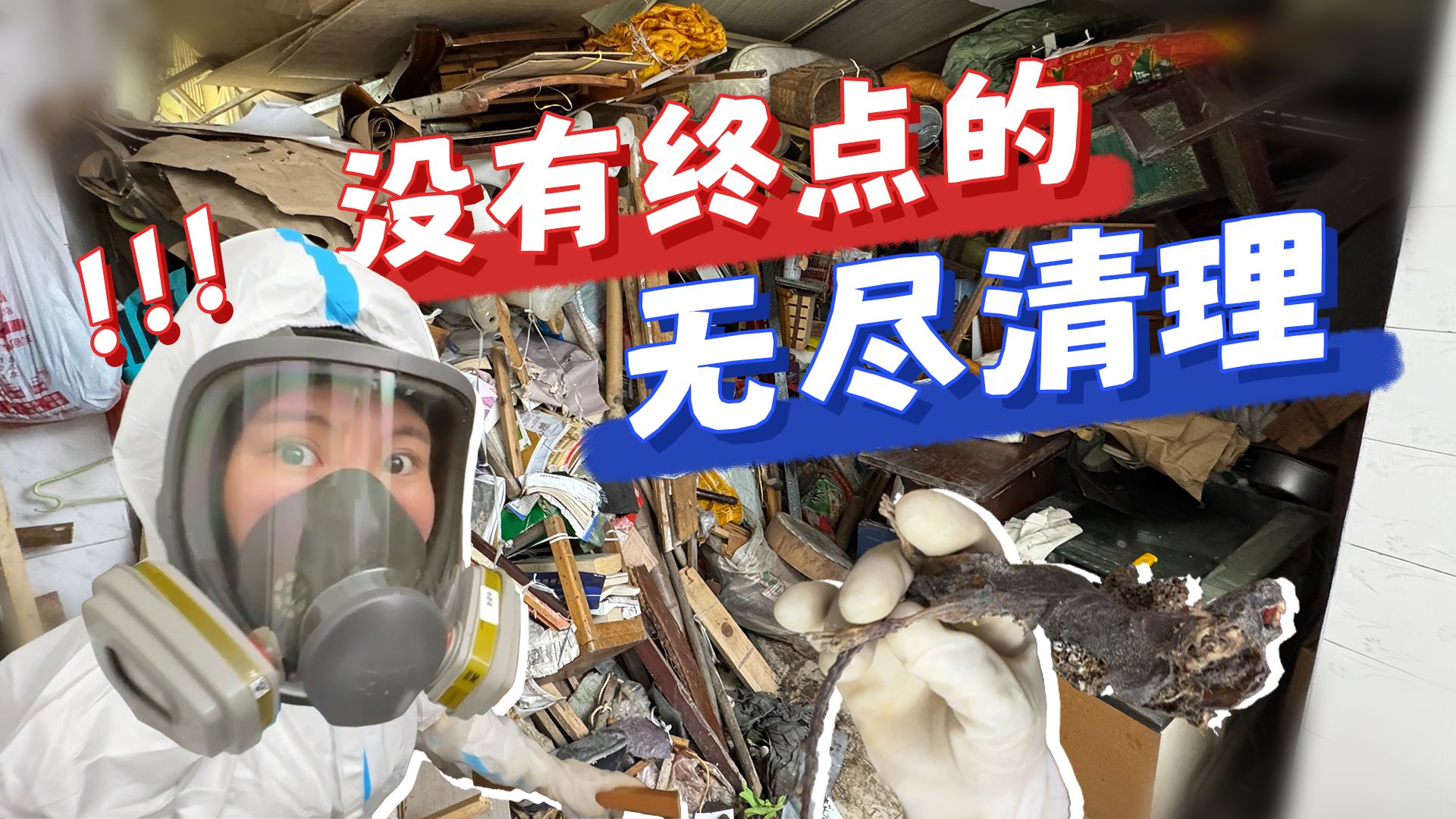 马俐管家