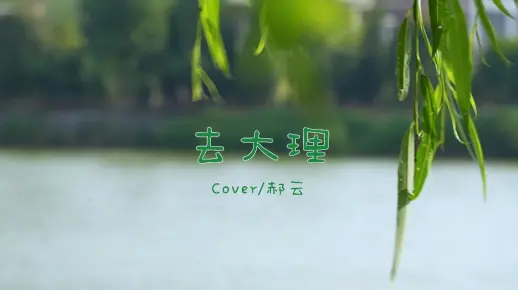 吉他弹唱-去大理