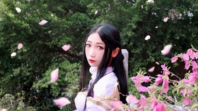 舞蹈视频古典舞教学版简单 5986e0295491164a8ec50253bb237ff2eae7df0b.jpg@280w_158h_1c_100q.jpg