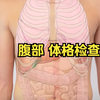 【油管】 医学生健康评估 身体检查 体格检查 腹部 abdominal physical assessment