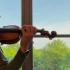 古典音乐中的小提琴旋律可以有多么动听？?