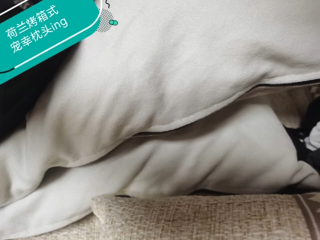 把枕头放在被子里宠幸枕头ing