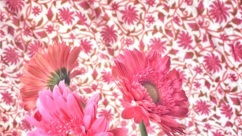 5a1a4e9b696a2854a8314af503db22aae90403f9.jpg@480w_270h_1c