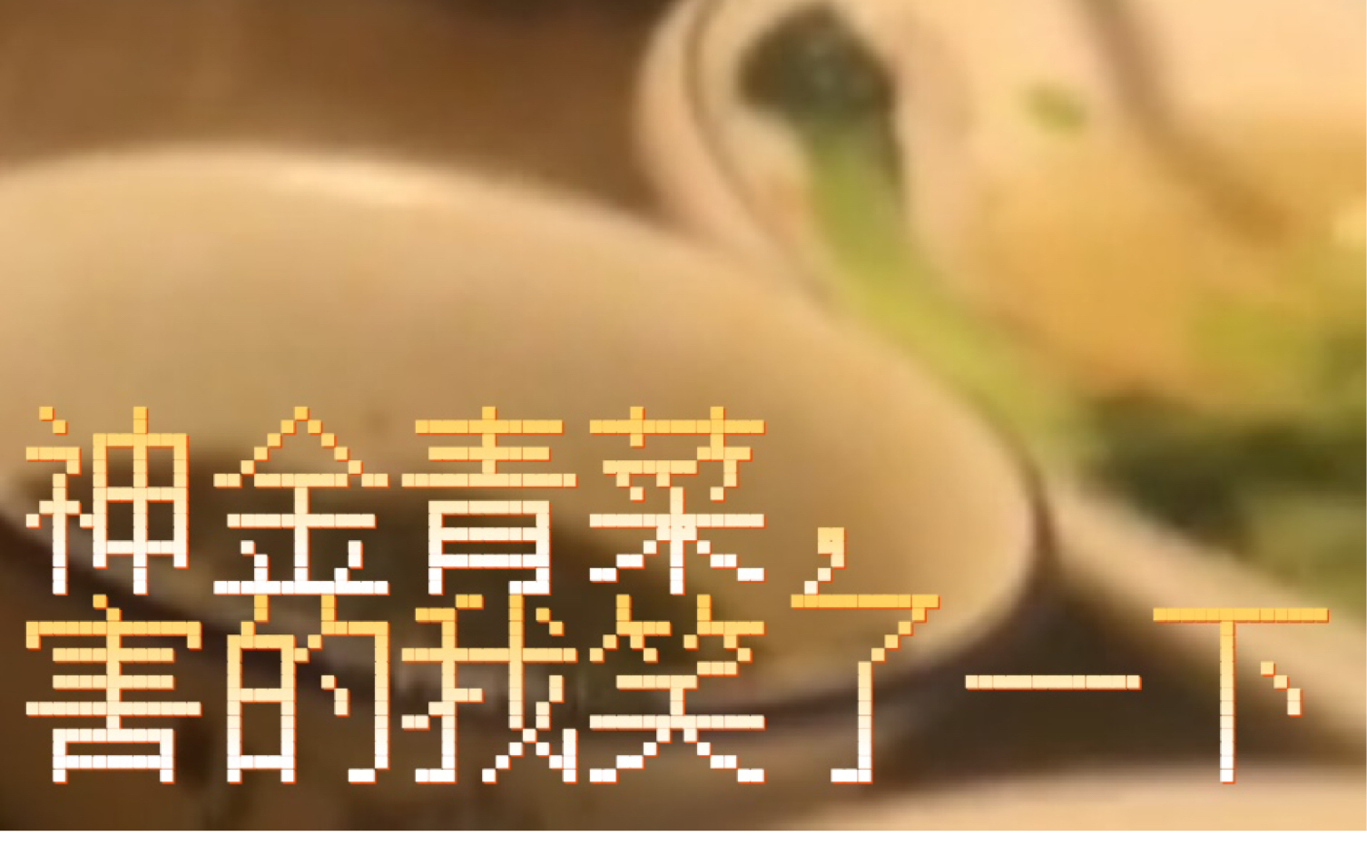 《真·一点青菜》