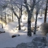 E101 2K高清画质下雪树林飘雪白雪皑皑雪地雪景冬天冬季雪树壮美大自然视频素材
