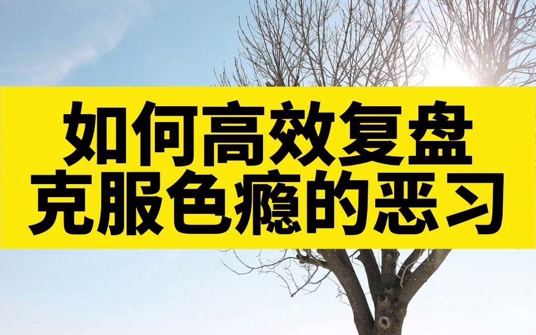 如何高效复盘,戒掉色瘾的恶习?哔哩哔哩bilibili