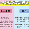 孕期1到40周大揭秘，产检时间、注意事项，准妈妈一定要看