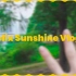 【Felix】【中字】210828 [SKZ VLOG] Felix : Sunshine Vlog 3全场中字