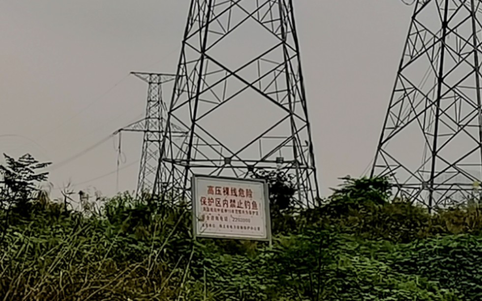 【怪核】误入禁区⚠️