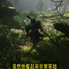 这个堪称大树守卫的幽魂，你们都打了多久啊