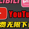 YouTube BiliBili 视频，免费100%可下载教程 小学生都会