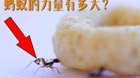5ab3d1ea45c3d77ad66f93861d79d5d24aa64624.jpg@480w_270h_1c