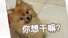 5ab8aa0ce98e29a0ed0fde0e132c77c47047d114.jpg@280w_158h_1c_100q.jpg