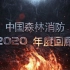 挥别2020，行而不缀 未来可期；2021，中国森林消防与您 携手并进 守护左右