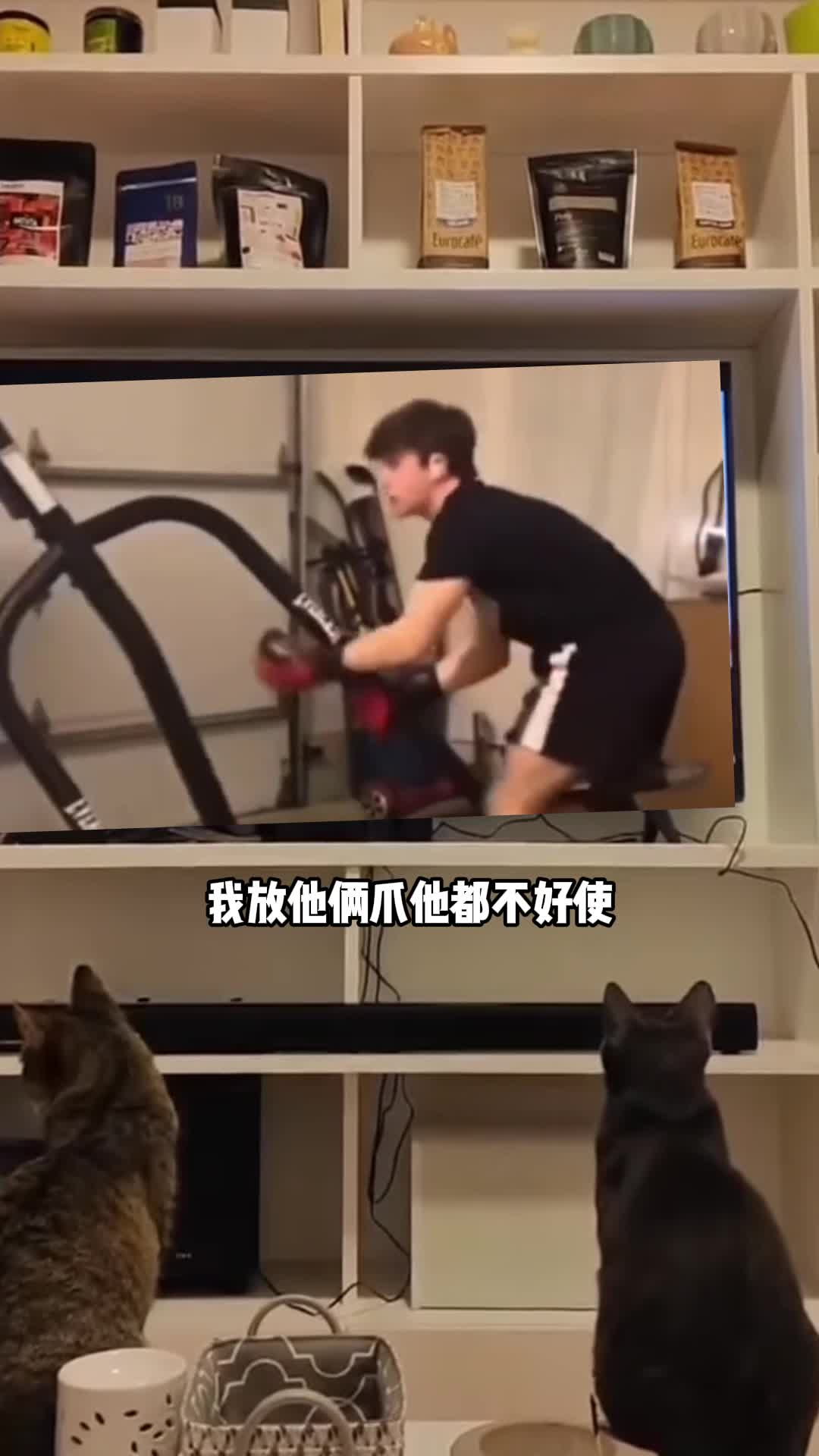 都不爱不出屋了,我们就在家看视频吧-大天搞笑配音-大天搞笑配音-哔哩哔哩视频