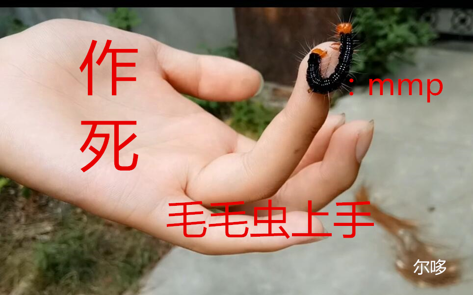 【尔哆】被拿大刀逼着大黑毛毛虫作死上手!户外play!