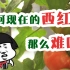 《为何现在的番茄/西红柿如此丧心病狂的难吃？》—— 那老娘就自己在阳台上种传家宝老品种番茄！(汪淑芬#vlog01)