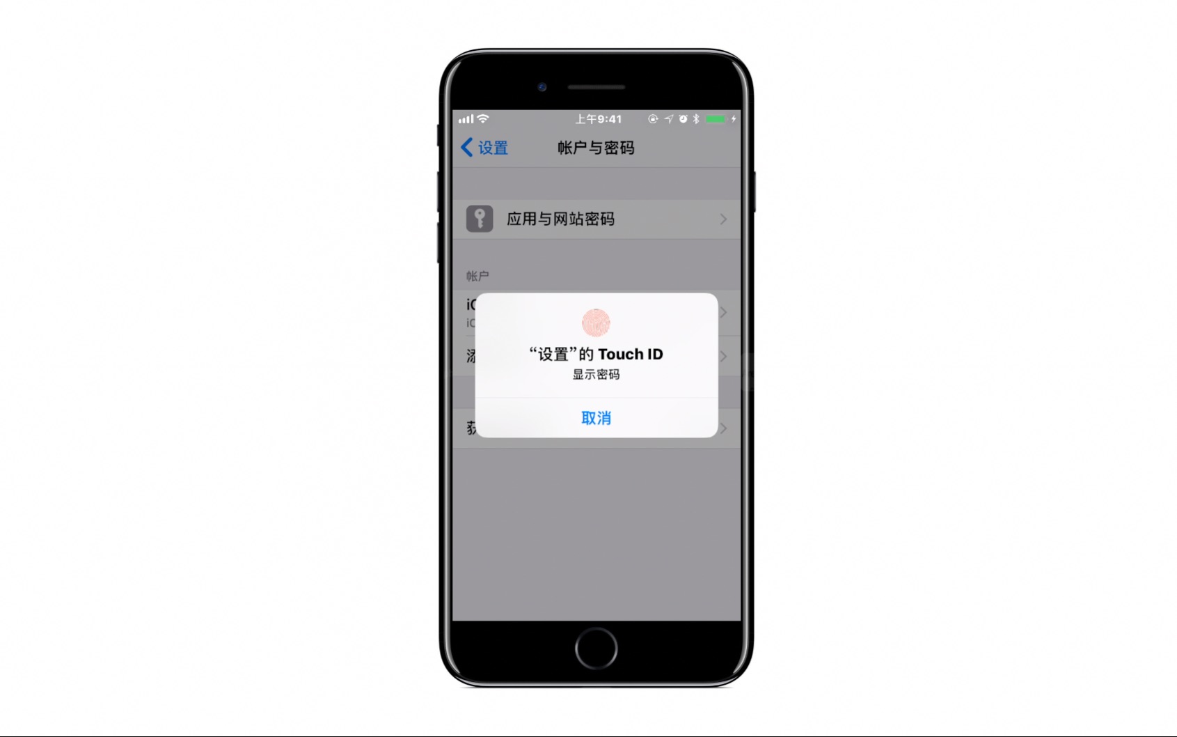 iOS11隐藏技能:拯救记不住密码的你哔哩哔哩bilibili