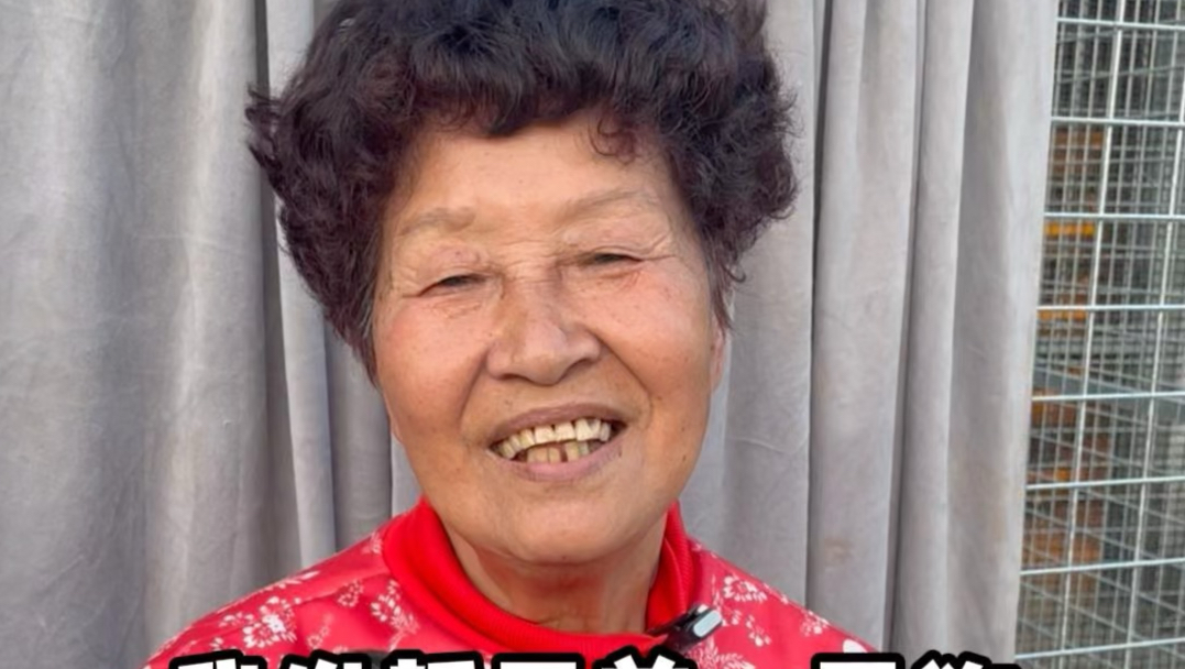 我发誓只养一只狗