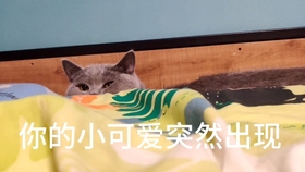 5b563d32b6bfca0e47bae149580c45d950105433.jpg@280w_158h_1c_100q.jpg