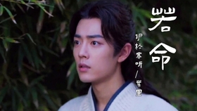 漫漫长夜夜夜夜漫长曲谱_漫漫长夜