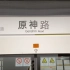 【梦幻联动】上海地铁“原神”路站随拍