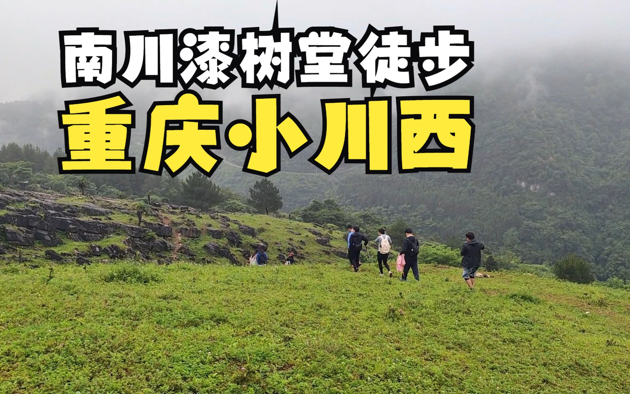 重庆小川西 |南川漆树堂徒步 |超大雾,仙气飘飘漫步哔哩哔哩bilibili