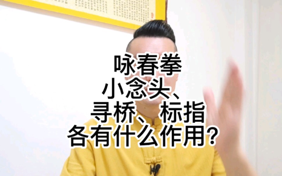 咏春套路小念头,寻桥,标指分别代表什么寓意?