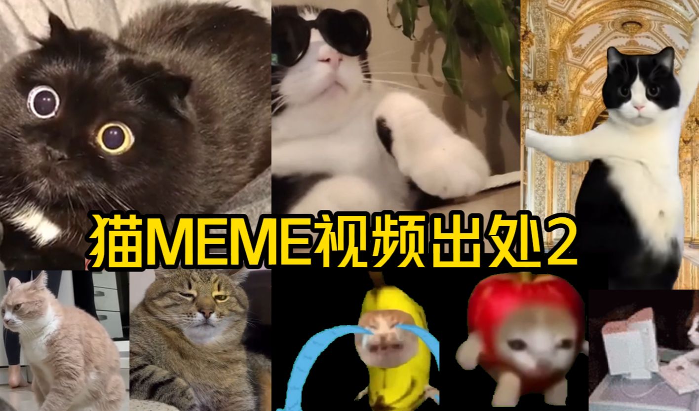 热门猫meme原视频出处（下）