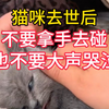为什么说猫咪去世后，不要用手碰，更不要大声哭泣，这个视频告诉你答案