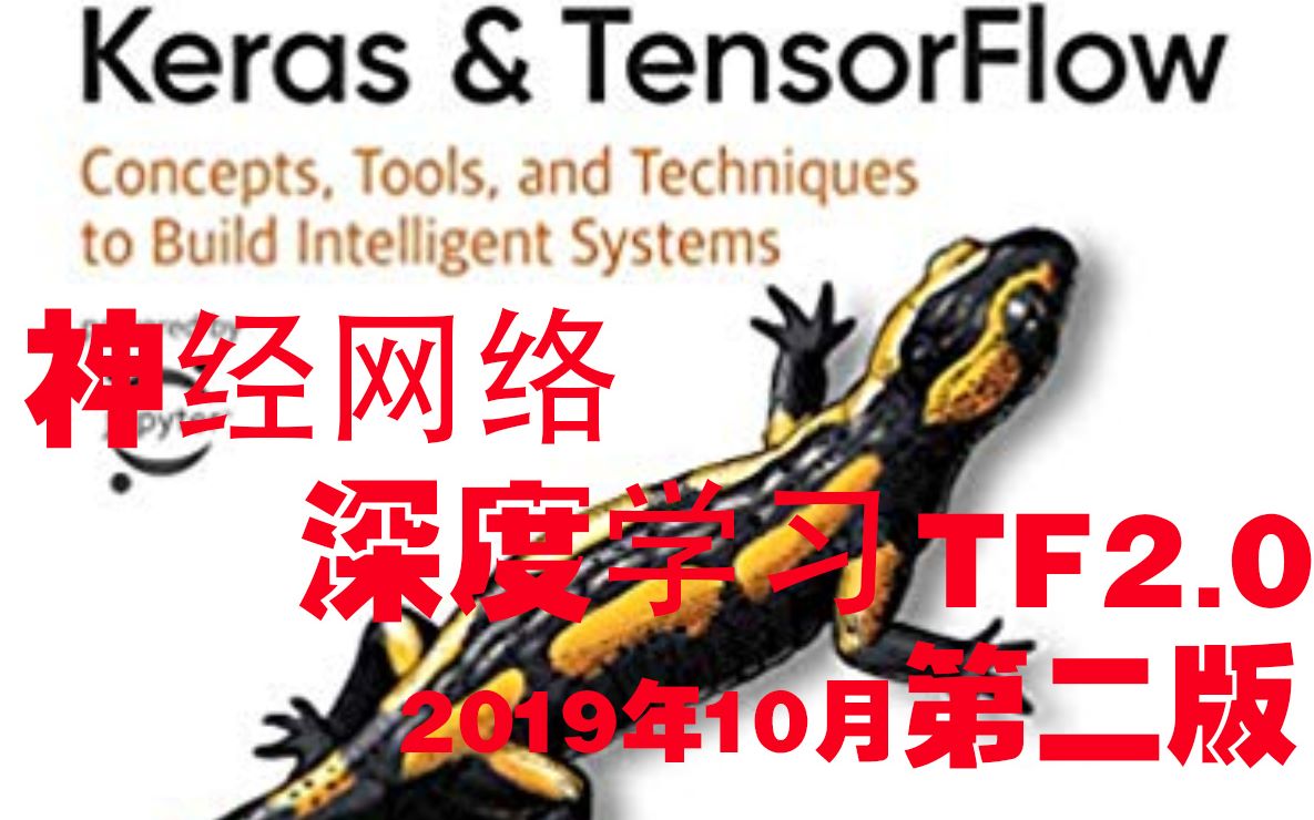 《tensorflow2 0蜥蜴书12章》一词一句带你读懂tensorflow2 0深度学习（19年10月第二版） 哔哩哔哩 Bilibili