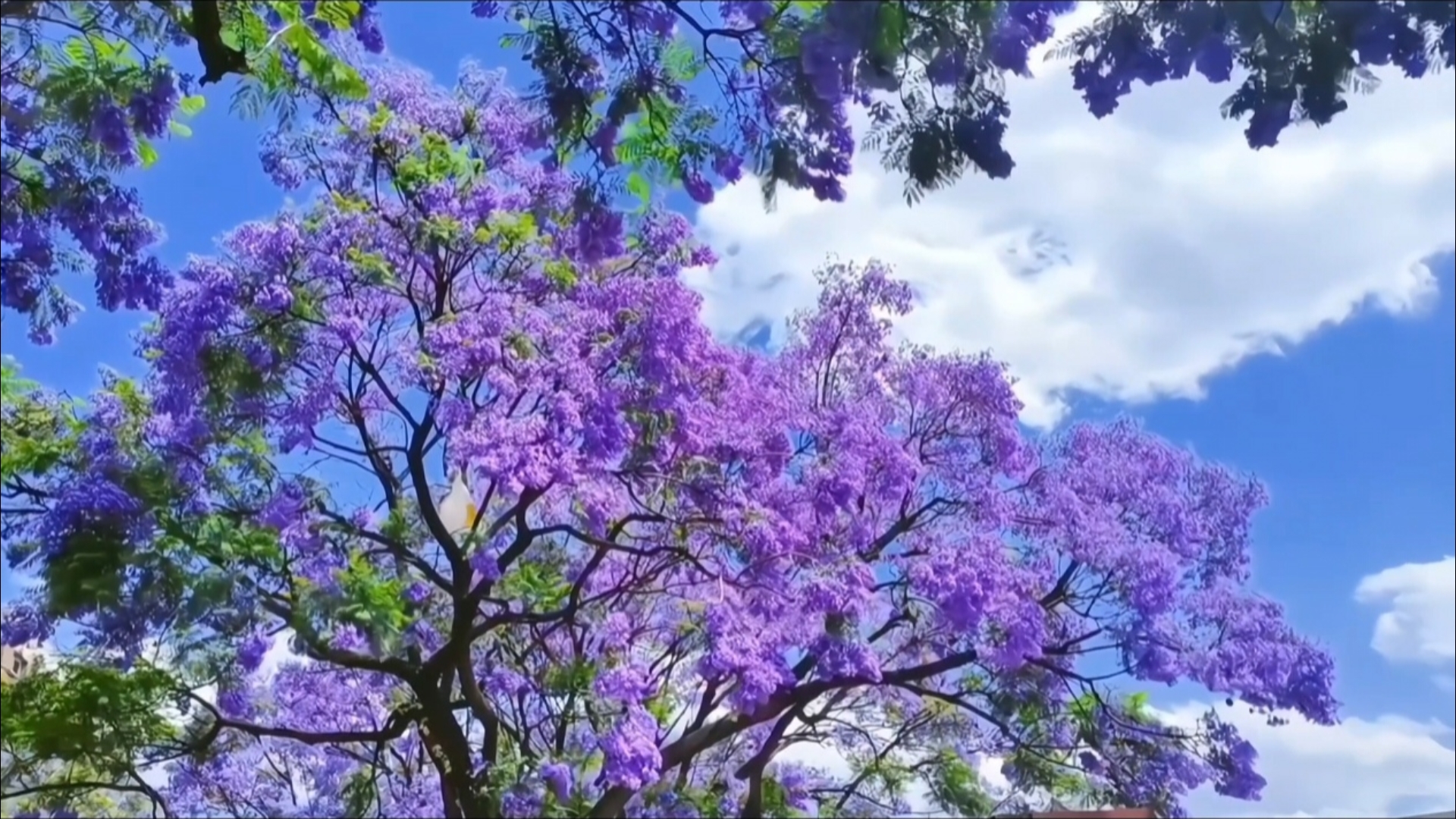 “风里已经有春天的味道了～”