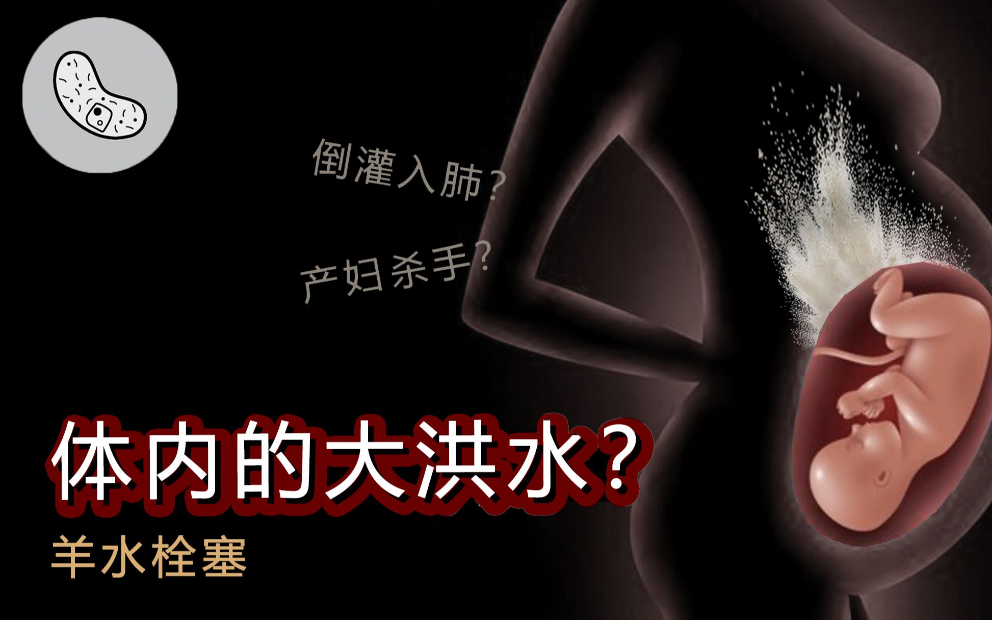 【羊水栓塞】倒灌入肺？产妇体内的致命大洪水？【灰细胞】