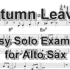 Autumn Leaves - Easy Solo Example for Alto Sax