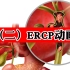 （二）ERCP动画