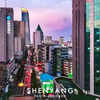 【挑大学选城市系列】辽宁沈阳（东北地区最大的国际大都市-盛京