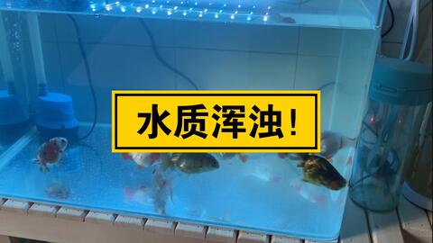 5c30e142e3ba9740bf664a177b93cde6ae9ef447.jpg@480w_270h_1c