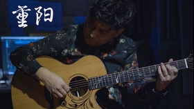 陈亮指弹曲谱_活佛济公陈亮图片(3)