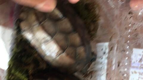 5c3f1335ec238d9b6b6d81fb0282633b5c930004.jpg@480w_270h_1c