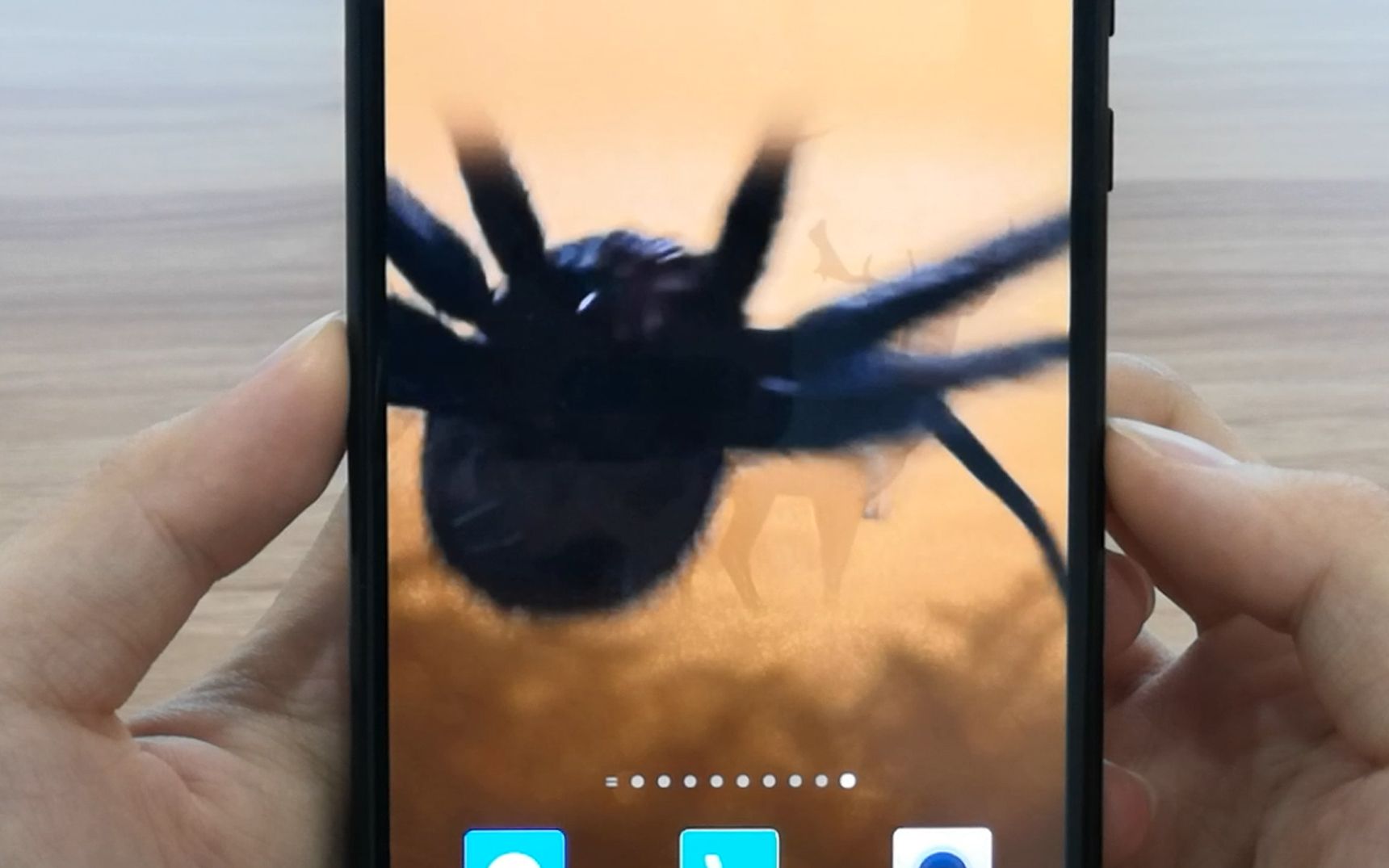 打开手机，就有一只大蜘蛛在你的屏幕上，会不会踩坏你的屏幕？