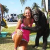 人与兽FUNNY ANIMALS VIDEOS COMPILATIONS