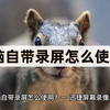 电脑自带录屏怎么使用？教你电脑录屏的方法