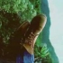 【翻配】Timberland年度品牌影片《真是踢不烂》