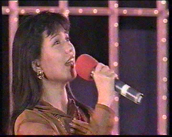 1991年中央电视台港台歌手“华东水灾”义演晚会